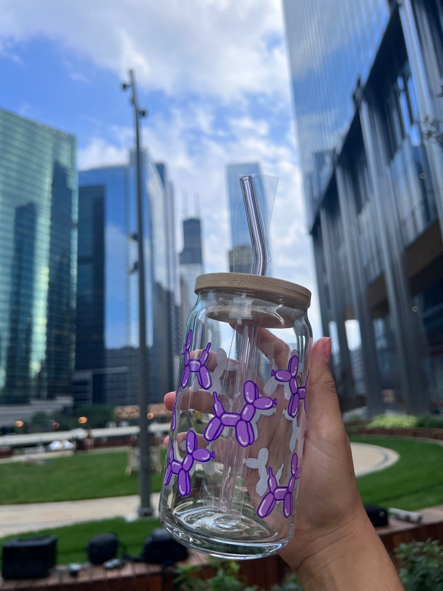 Balloon Animal Glass Cups